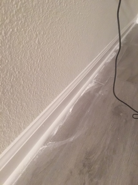 Booklice in new build