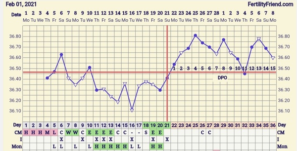 Anyone in the 2 week wait wanting to share symptoms and bbt charts