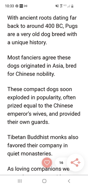 Aibu that dogs are now a class identifier??