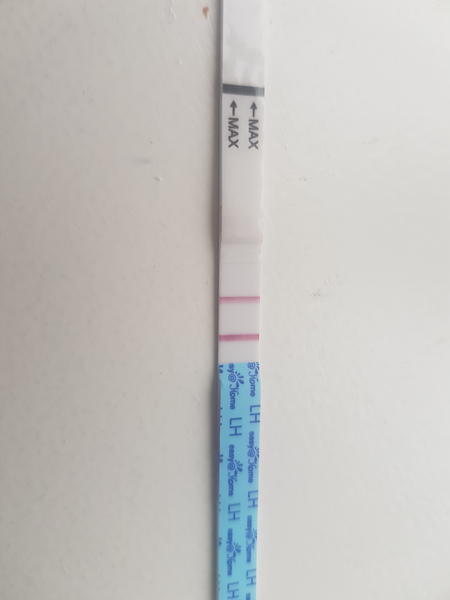 Please help!! Positive OPK day before AF?!