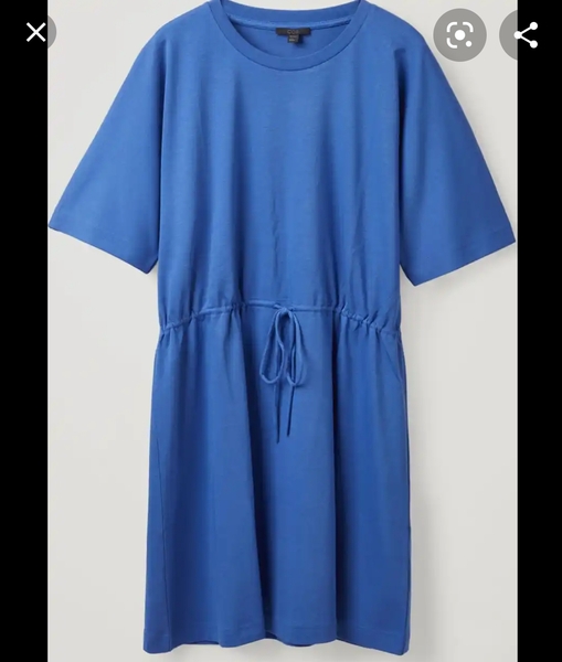 Does anyone own this dress from Cos?