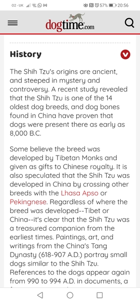 Aibu that dogs are now a class identifier??