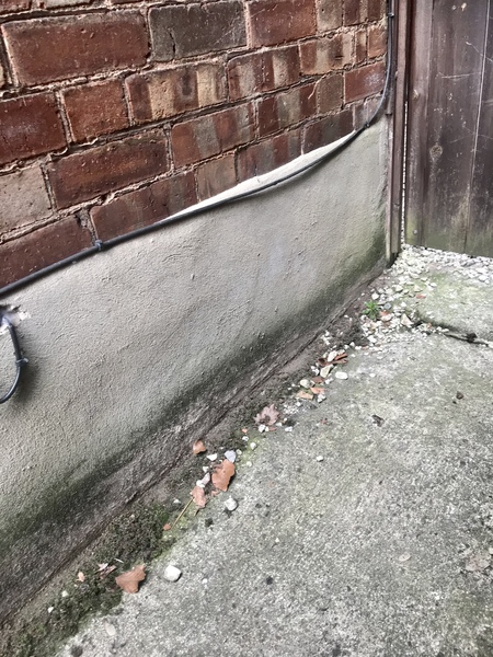 Help with damp in dining room