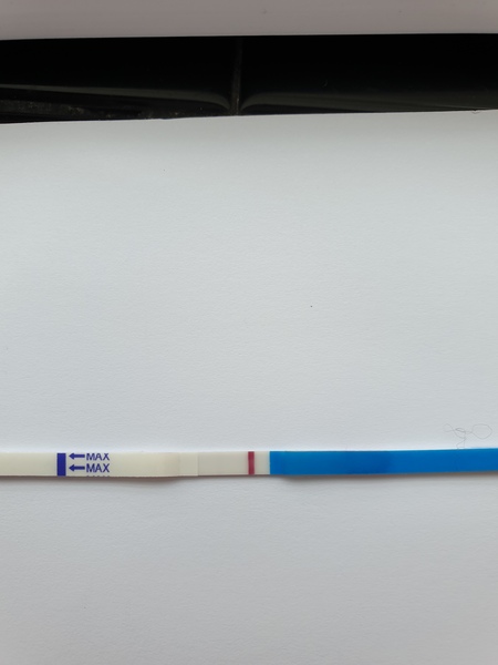 Anyone else approaching ovulation?