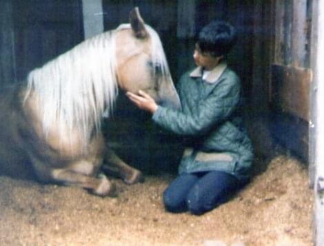 To think you sold him years ago (horse) so no you cant come visit him