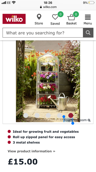 Complete novice wanting to grow something!