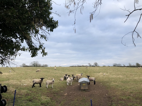 Anyone keen for a 6 week challenge?