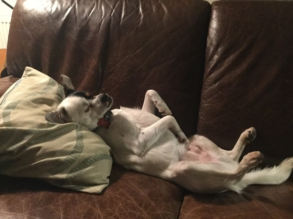 Draw me like one of your French girls Jack