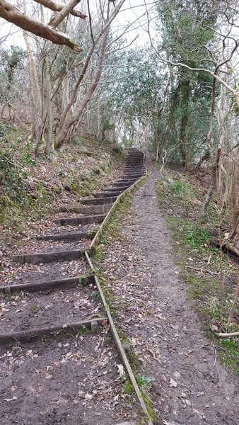 Morbidly obese - I want to walk up these steps...
