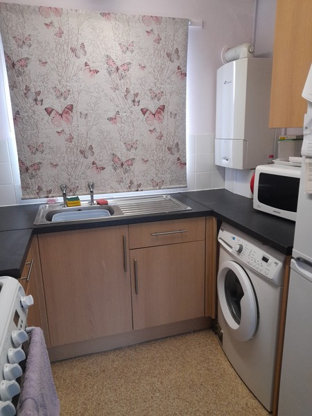 To get a cleaner for my tiny 1 bedroom 3 room flat?