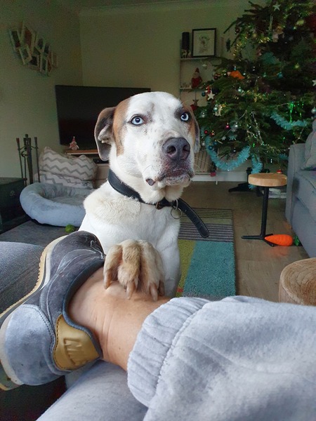 Low Carb Week 7 - Our final weeks