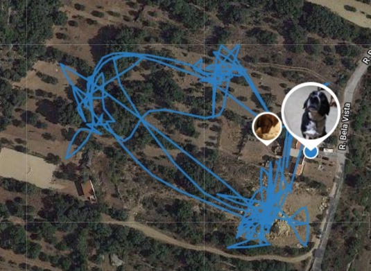 Is there a second thread for the horse/obsessive ex owner?