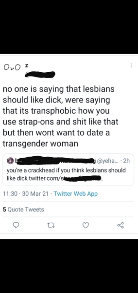 Evidence of TRA /Gender Idealogue Homophobia