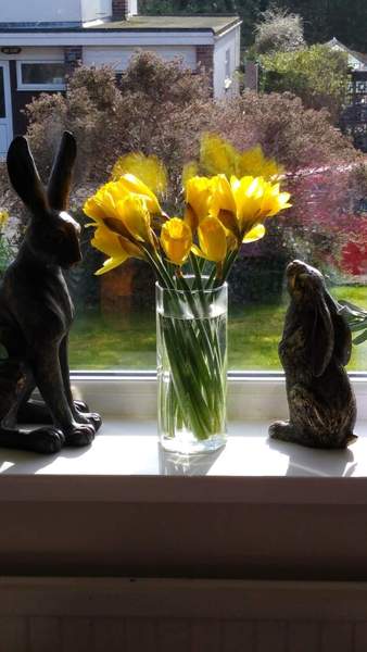 Frugaleers -Marching March-wards Making Money Matter