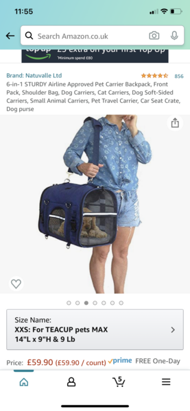 Can anyone recommend a small soft dog crate that can be anchored by seatbelt?