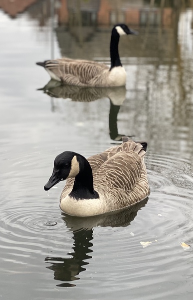 NOT what I expected to wake up to this morning...