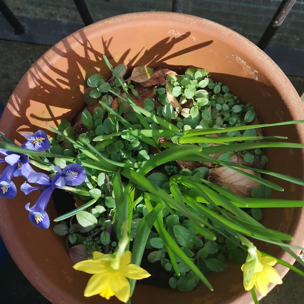 Les Parisiennes des Mamansnet: "You gotta have style. It helps you get down the stairs." - Diana Vreeland