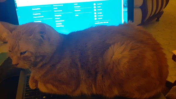 Our Girl Thread 59 "Our Girl and Soldier Soldier Revisited"