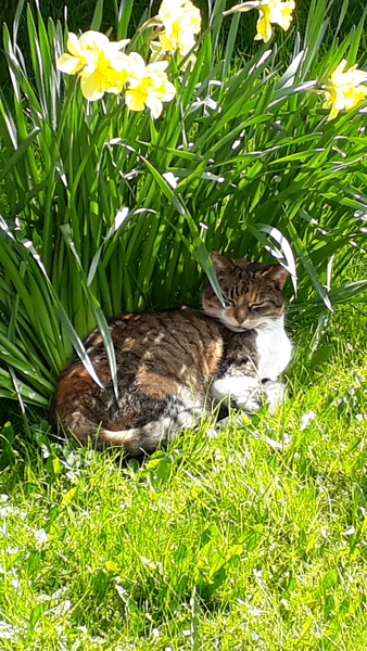 What's your DCat up to today? (Thread 8)