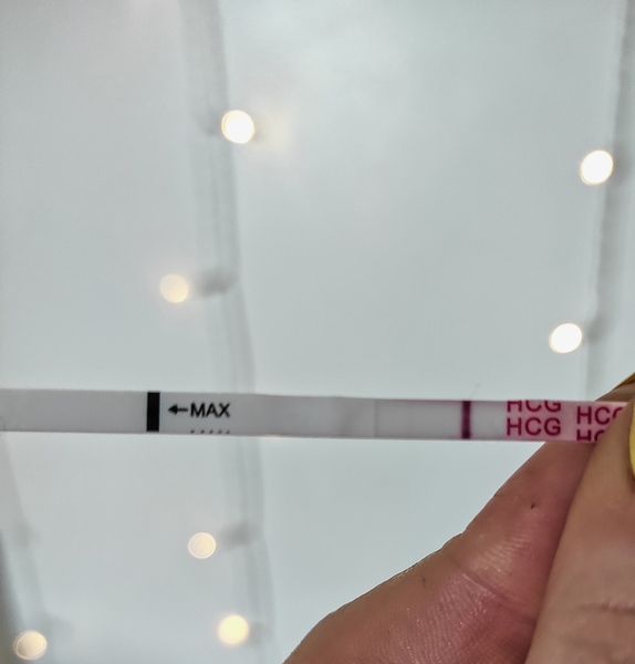 3DPO anyone want to TWW with me?