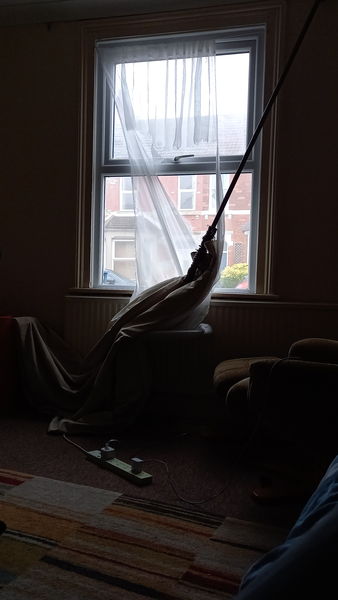 What does your Dcat do to drive you insane ( light hearted)