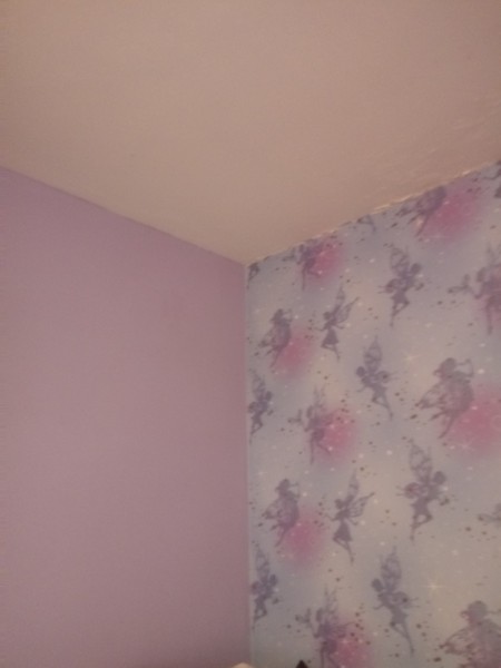 A purple colour for my 12 yr old daughters bedroom.
