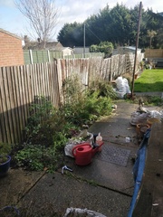What should I plant in this border near the house?