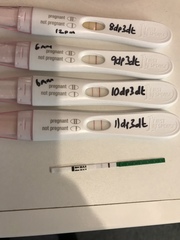 BFP or trigger shot - 7dp3dt