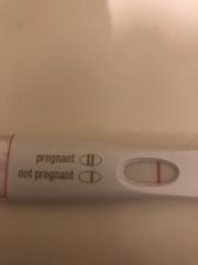 Why is ovulation late?