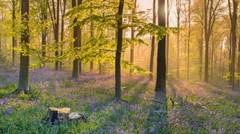 To think there is nowhere lovelier than England on a clear Spring day