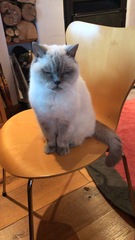 Low Carb Week 7 - Our final weeks