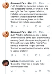 Evidence of TRA /Gender Idealogue Homophobia