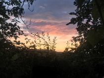 Low Carb Bootcamp - Week 8 - the last three weeks!