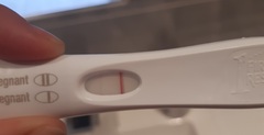 Why is ovulation late?