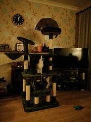 Low Carb Week 7 - Our final weeks