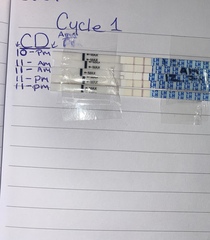 Cycle buddies anyone??