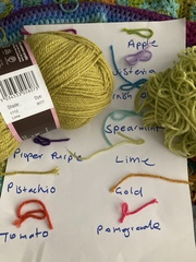 Style craft wool colour help !