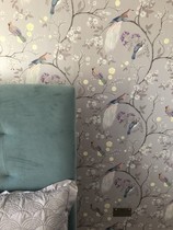 Paint colour for master bedroom ideas