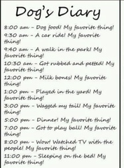 If dogs had AIBU