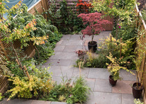 Getting small garden in terraced house landscapeded, I'd love a cottage style , what do I ask for?