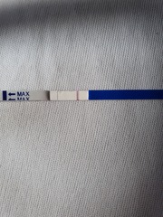 TTC After Chemical Pregnancy/Early MC 2