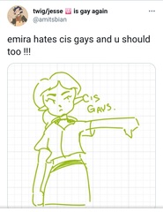 Evidence of TRA /Gender Idealogue Homophobia