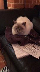 Low Carb Week 7 - Our final weeks