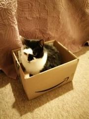 Low Carb Week 7 - Our final weeks