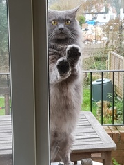 What's your DCat up to today? (Thread 8)