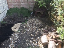 My wildlife patch