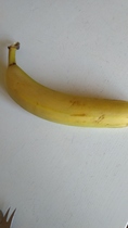 Posting pics of everything you eat thread!