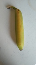 Posting pics of everything you eat thread!