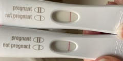 2 week wait feb 23 2021