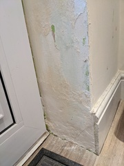 Damp next to back door